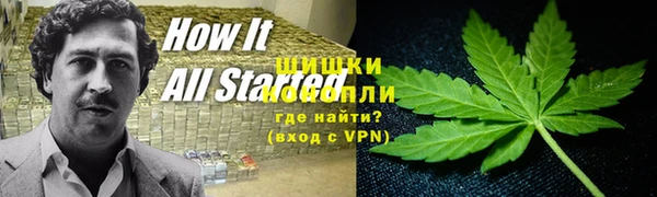 дмт Алексин