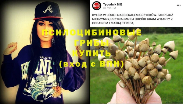 сатива Алексеевка