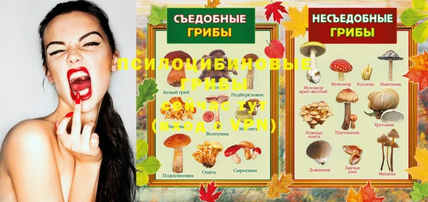 сатива Алексеевка